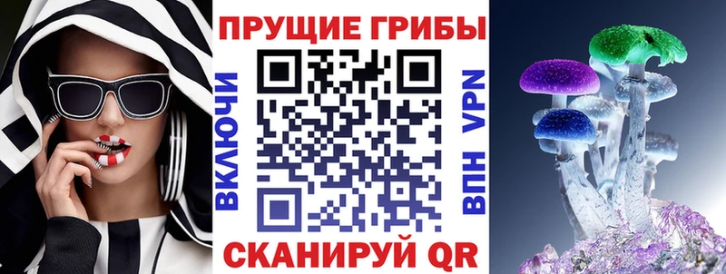 mega ссылка  Черногорск  Галлюциногенные грибы Psilocybine cubensis 