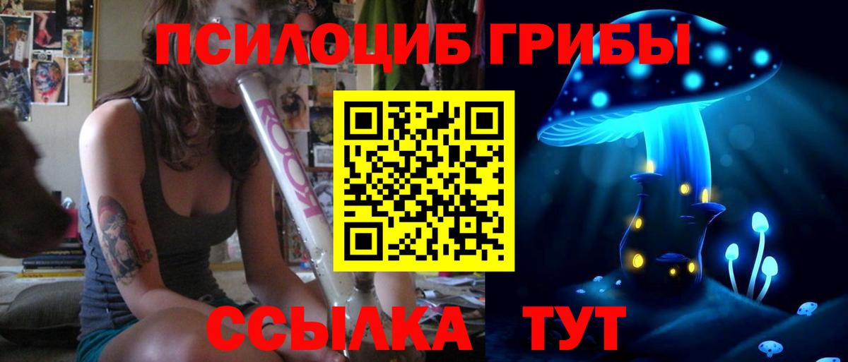 Черногорск  Псилоцибиновые грибы мухоморы  Вход с VPN  Галлюциногенные грибы Magic Shrooms 