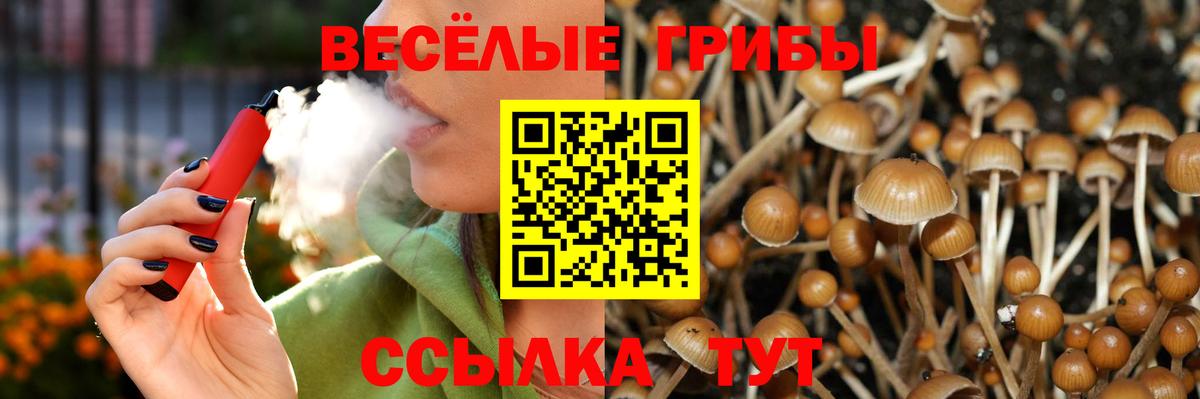 Псилоцибиновые грибы Cubensis Черногорск