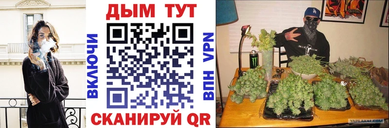 Конопля OG Kush Черногорск